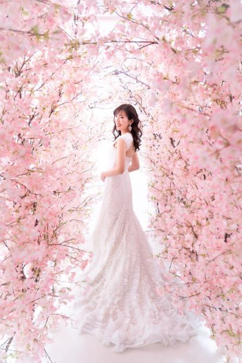 桜並木