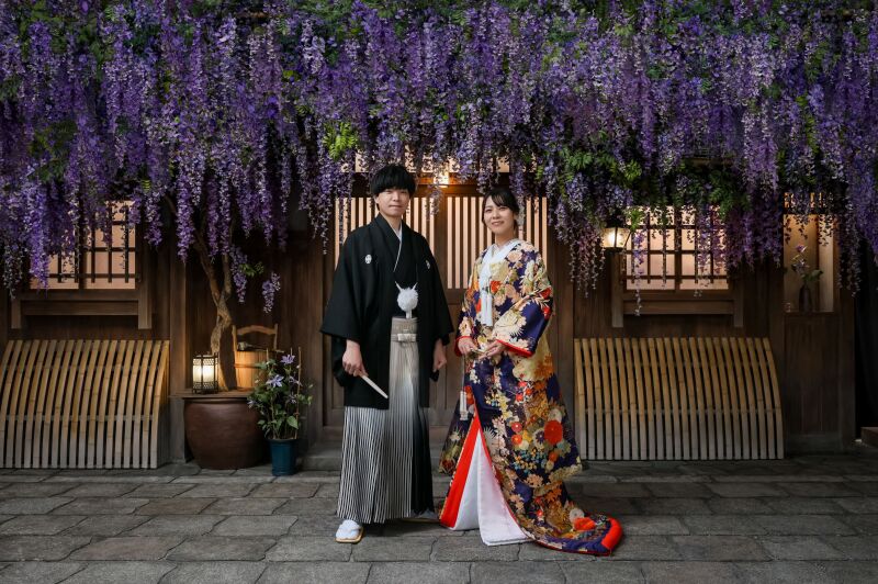 藤の花に包まれる幻想的な和の佇まい