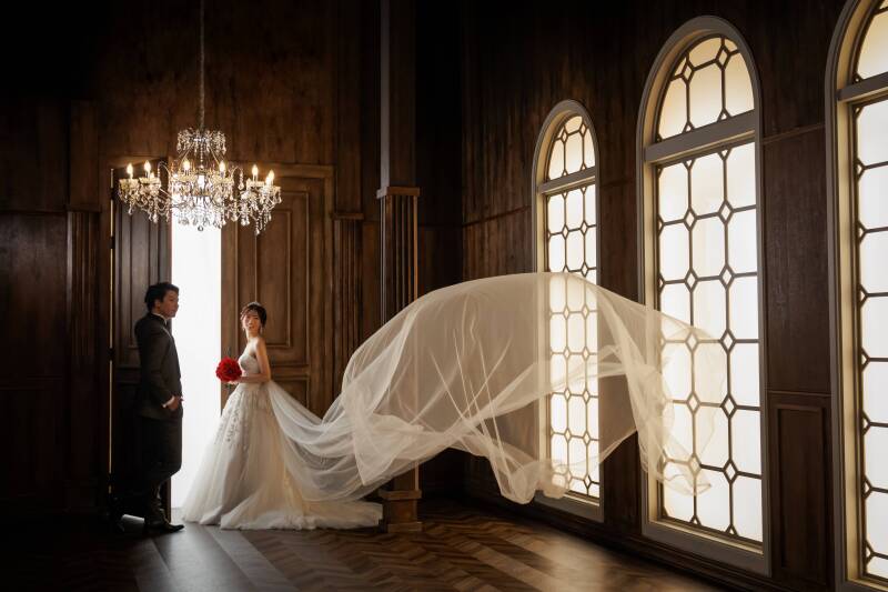 光が引き出す動き