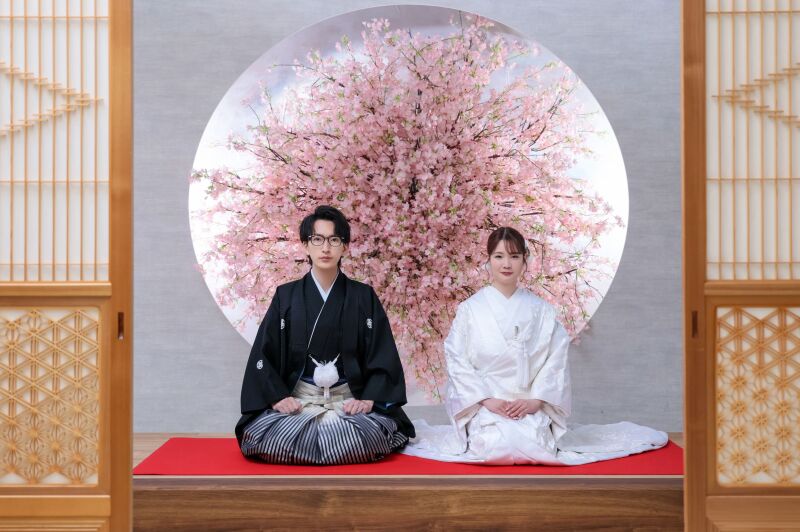 桜の前で凛と佇む上品な正姿ショット