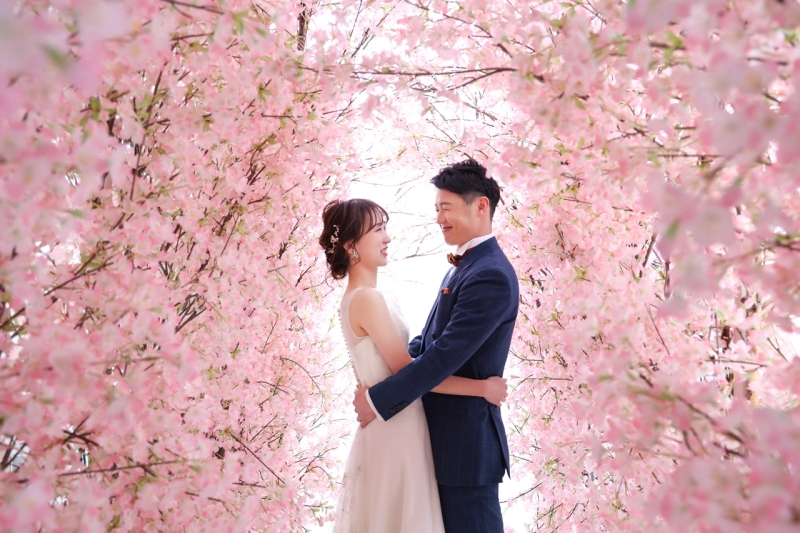 満開の桜に包まれて