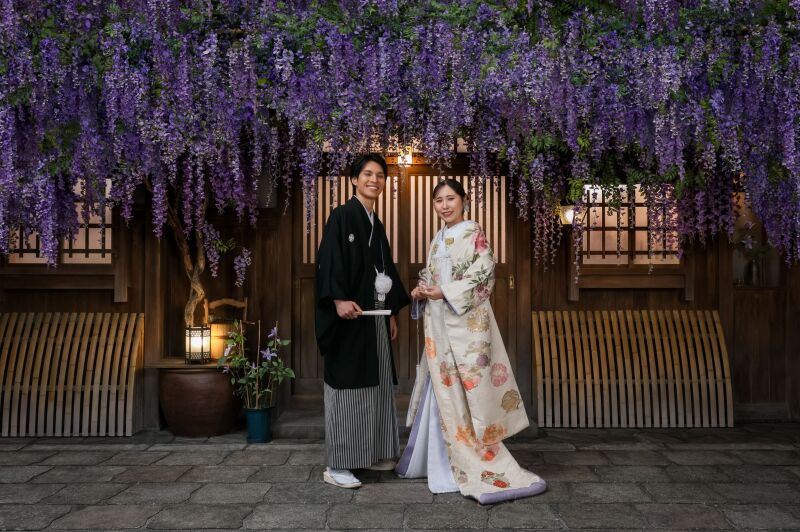 藤の花が彩る美しい和の空間