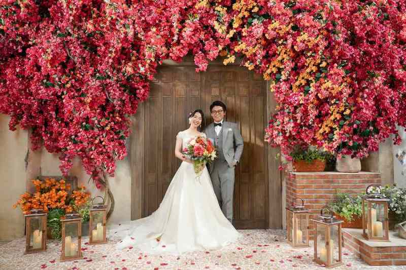 色とりどりの花々