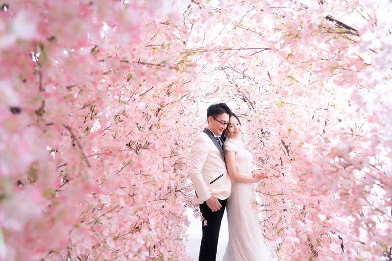 桜の下で寄り添い合って