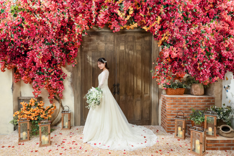 光を受けて立つ