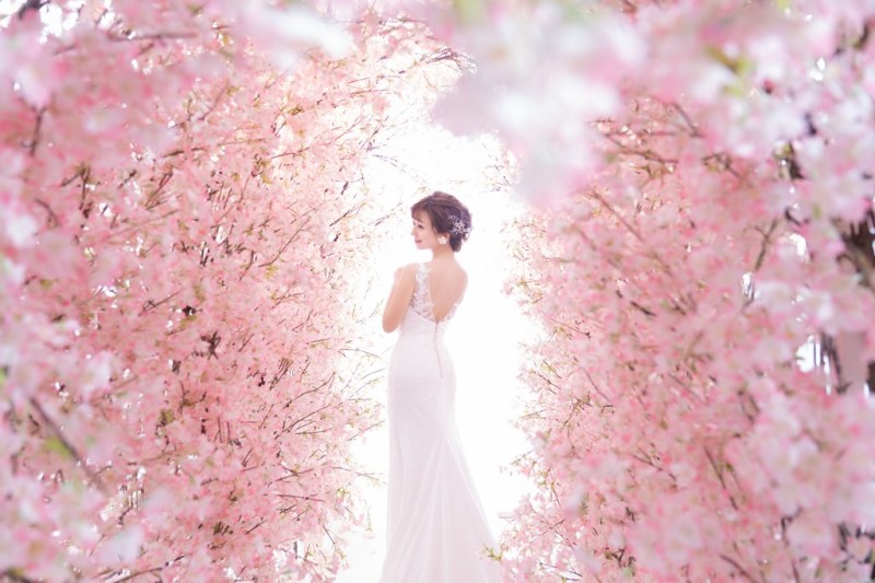 ドレスデザインも綺麗に