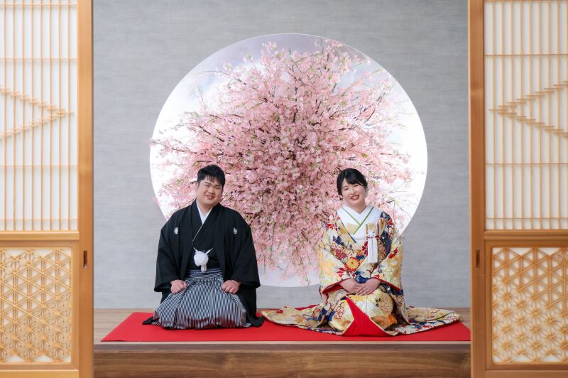 桜背景で魅せる伝統的な正座ショット