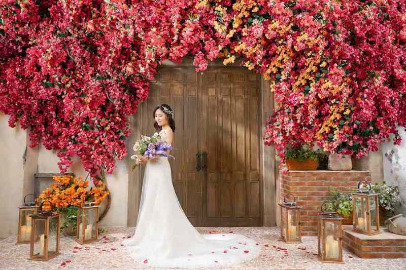 木漏れ日と花嫁