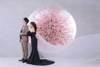 光を織り込んだ、静かな並び