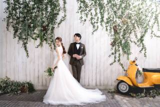 studio LUMINOUS お台場_Ivy Wall＆Amalfi
