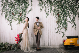 studio LUMINOUS お台場_Ivy Wall＆Amalfi
