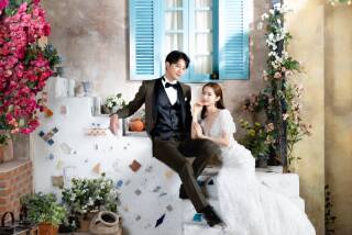 studio LUMINOUS お台場_Ivy Wall＆Amalfi