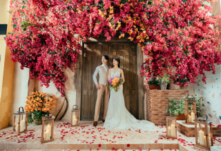 Spring campaign Campaign