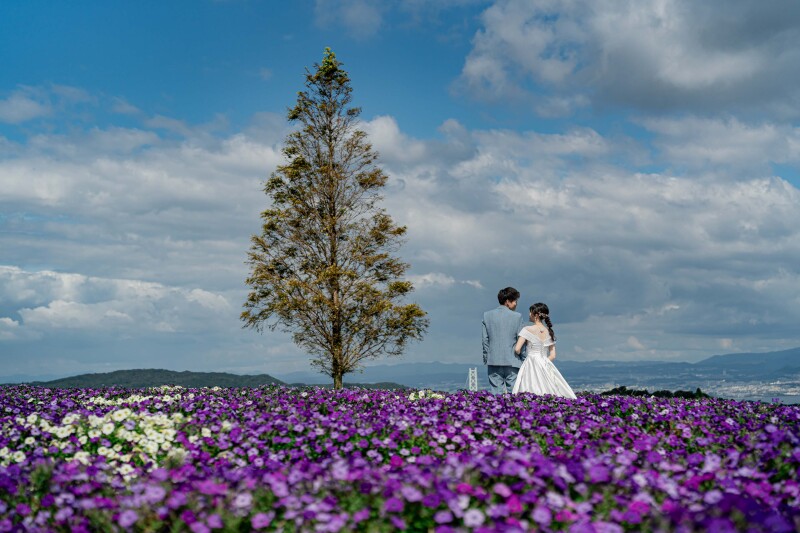 紫の花畑に包まれて*