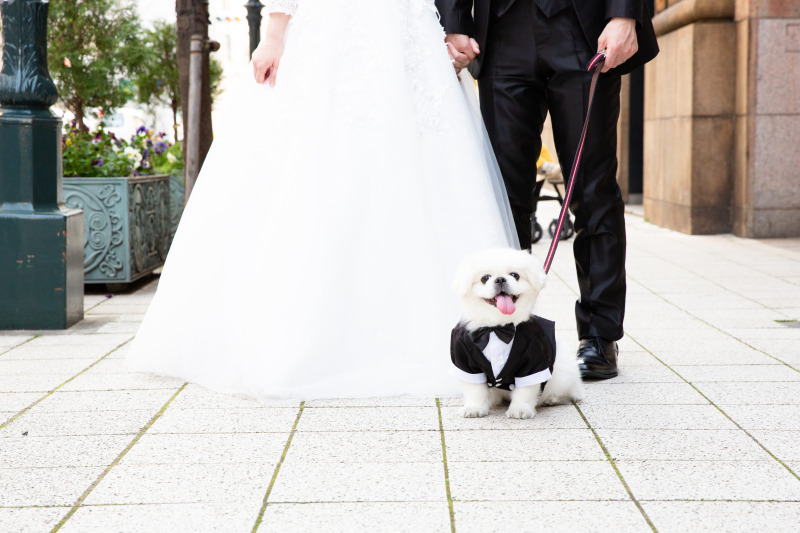 愛犬も一緒に♪