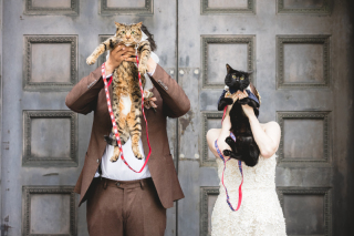 愛猫ちゃんもおめかしで♡