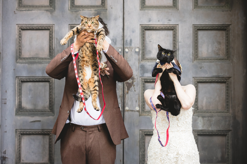 愛猫ちゃんもおめかしで♡