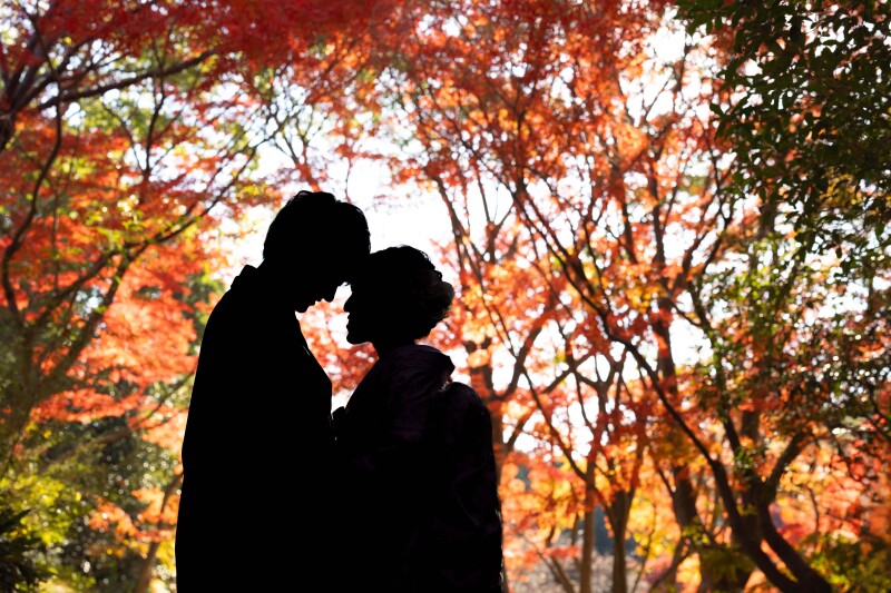 シルエット撮影