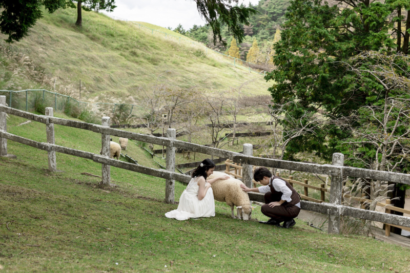 羊さんと触れ合いながら!