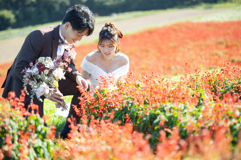 一面に広がる色鮮やかなお花と共に*