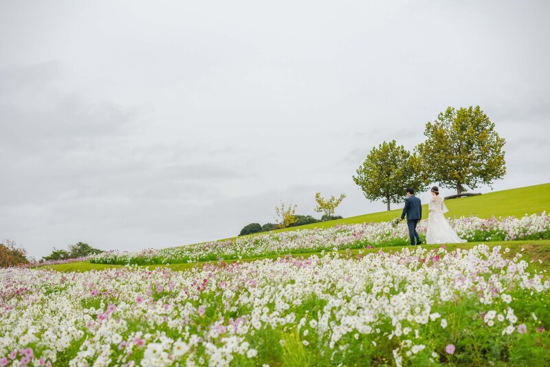 透明感あふれる白いお花♡