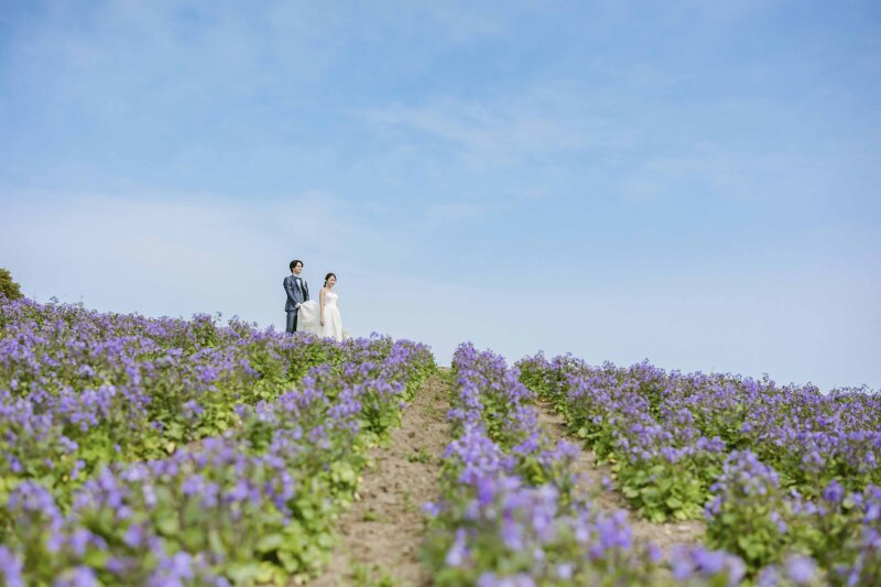 四季折々の花が咲き誇るスポット花さじき*゜