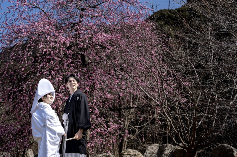 梅のお花とともに*