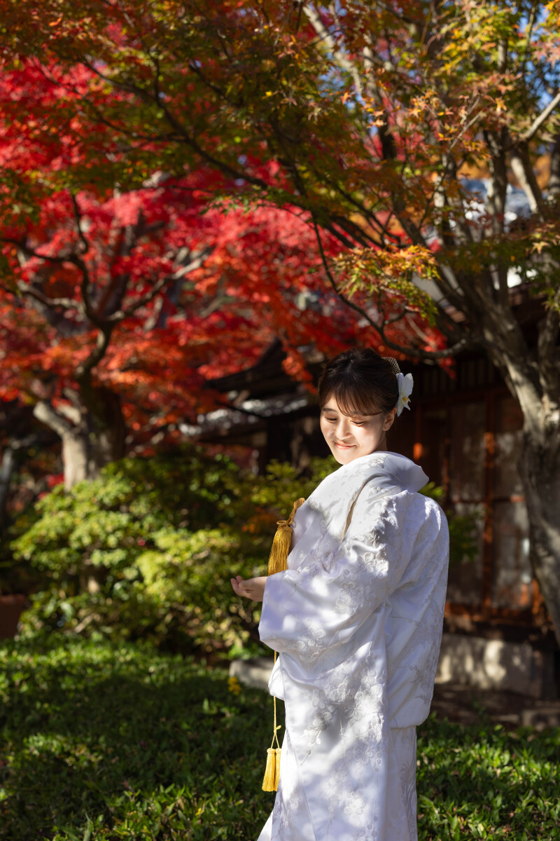 木漏れ日を差し込みながら