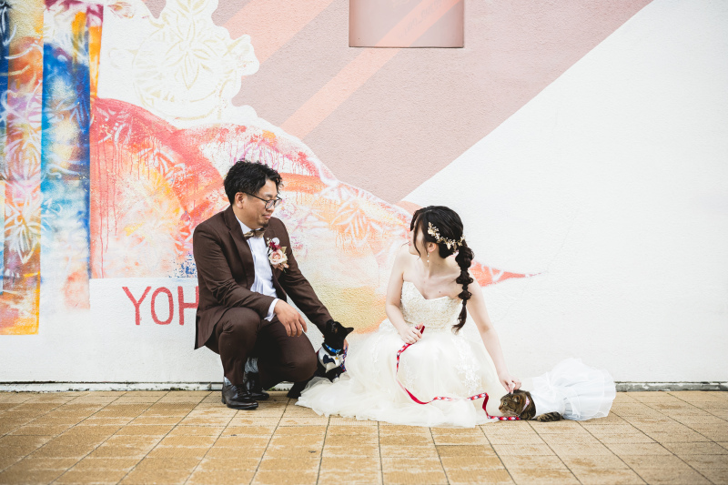 愛猫ちゃんたちと！