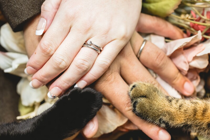 マーブルリゾートウェディング神戸【MARBLE RESORT WEDDING 神戸】_ペットと一緒に撮影できる