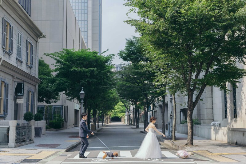 マーブルリゾートウェディング神戸【MARBLE RESORT WEDDING 神戸】_ペットと一緒に撮影できる