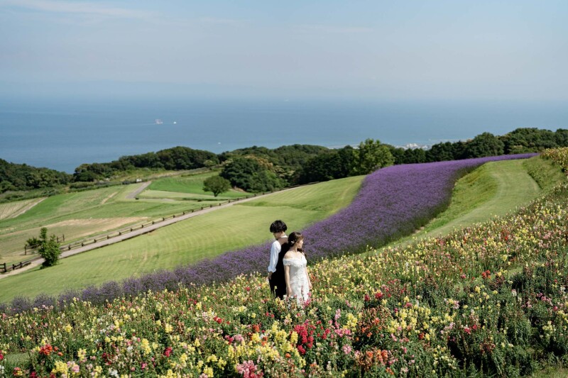美しい花々が広がる“あわじ花さじき”