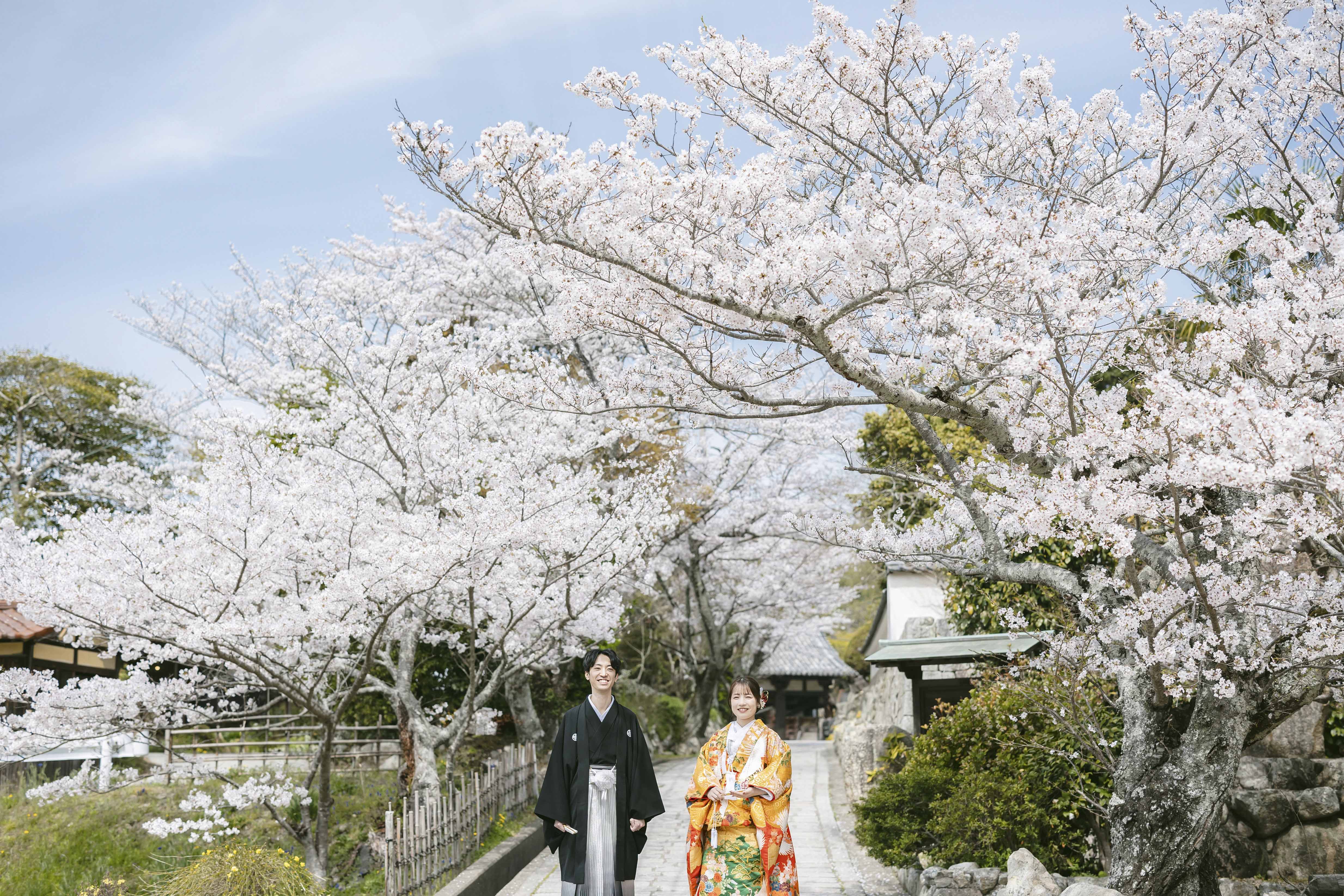 Point1 多彩な撮影シーン