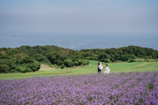 マーブルリゾートウェディング神戸【MARBLE RESORT WEDDING 神戸】_あわじ花さじき【淡路島エリア】