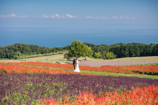 マーブルリゾートウェディング神戸【MARBLE RESORT WEDDING 神戸】_あわじ花さじき【淡路島エリア】