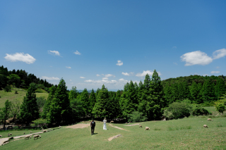 マーブルリゾートウェディング神戸【MARBLE RESORT WEDDING 神戸】_六甲山牧場【その他】