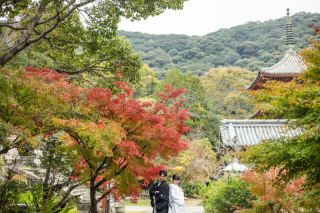 マーブルリゾートウェディング神戸【MARBLE RESORT WEDDING 神戸】_太山寺【神戸エリア】