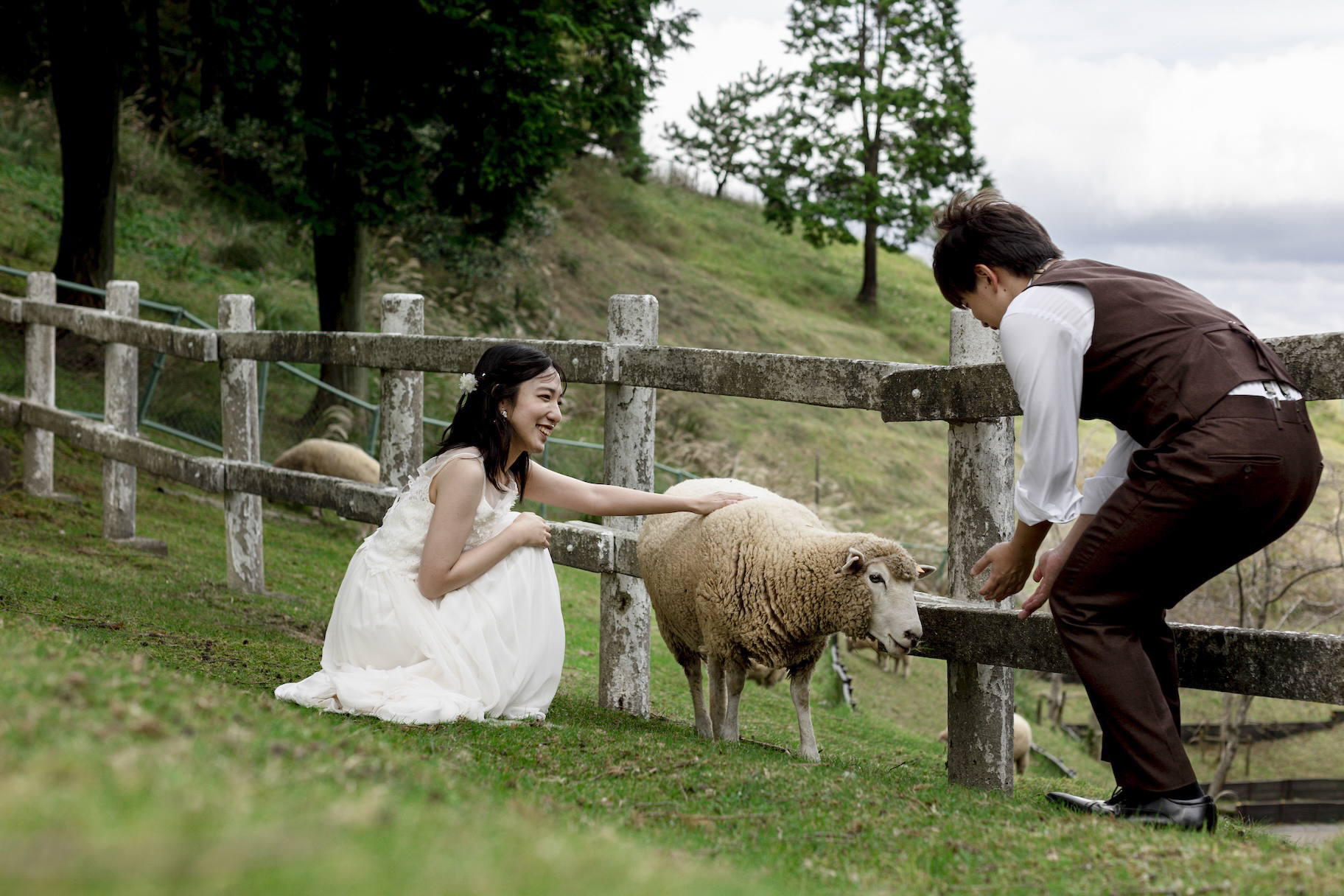 Point1 多彩な撮影シーン