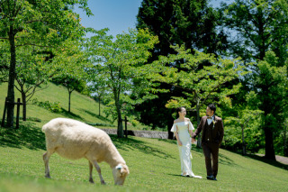 マーブルリゾートウェディング神戸【MARBLE RESORT WEDDING 神戸】_六甲山牧場【その他】