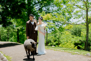 マーブルリゾートウェディング神戸【MARBLE RESORT WEDDING 神戸】_六甲山牧場【その他】