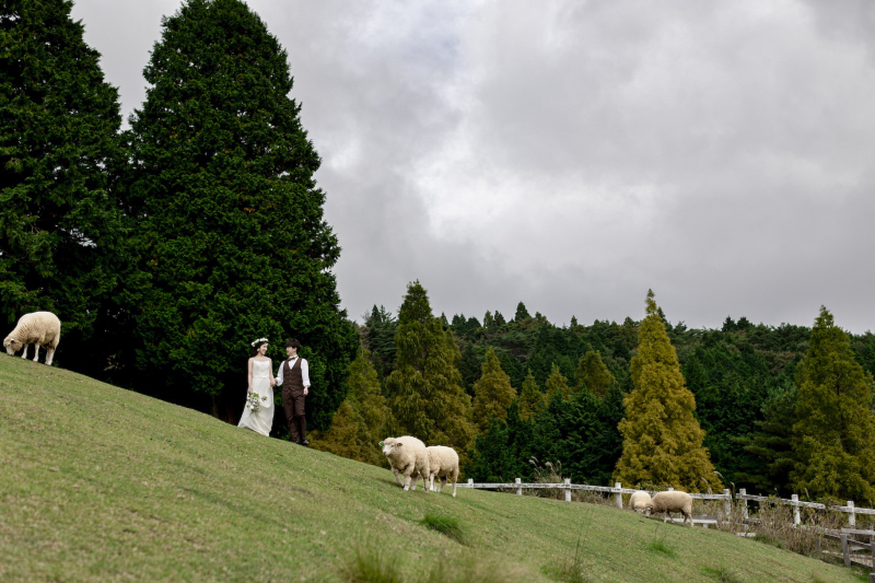マーブルリゾートウェディング神戸【MARBLE RESORT WEDDING 神戸】_六甲山牧場【その他】
