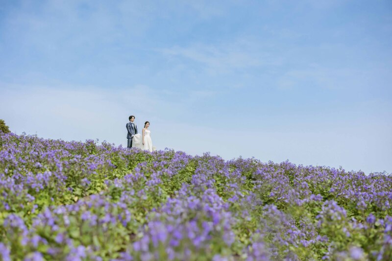【淡路島★1Dayフォト＆ダイジェストムービー★リリース記念価格!!】選べるロケ地・ドローン撮影付きのハイグレードプラン