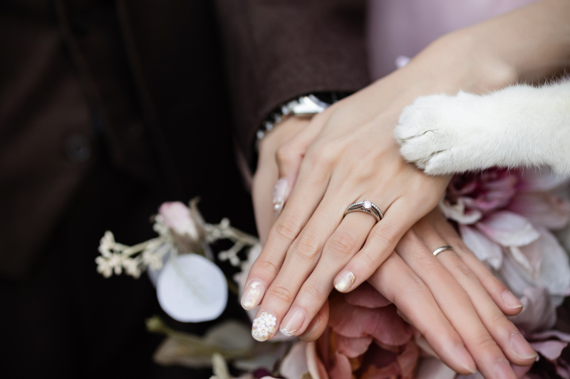 【ペットと一緒にフォトウェディング☆ペットのソロカット撮影可◎】データ120カット・衣装1着・ヘアメイク・1ロケーション