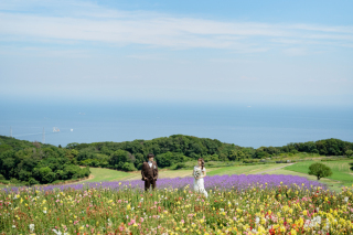 【9月末まで限定☆淡路島☆花畑×ビーチで日中orサンセットも撮れる】ドローンフォト・2ロケ・150カット・洋装1着付きプラン
