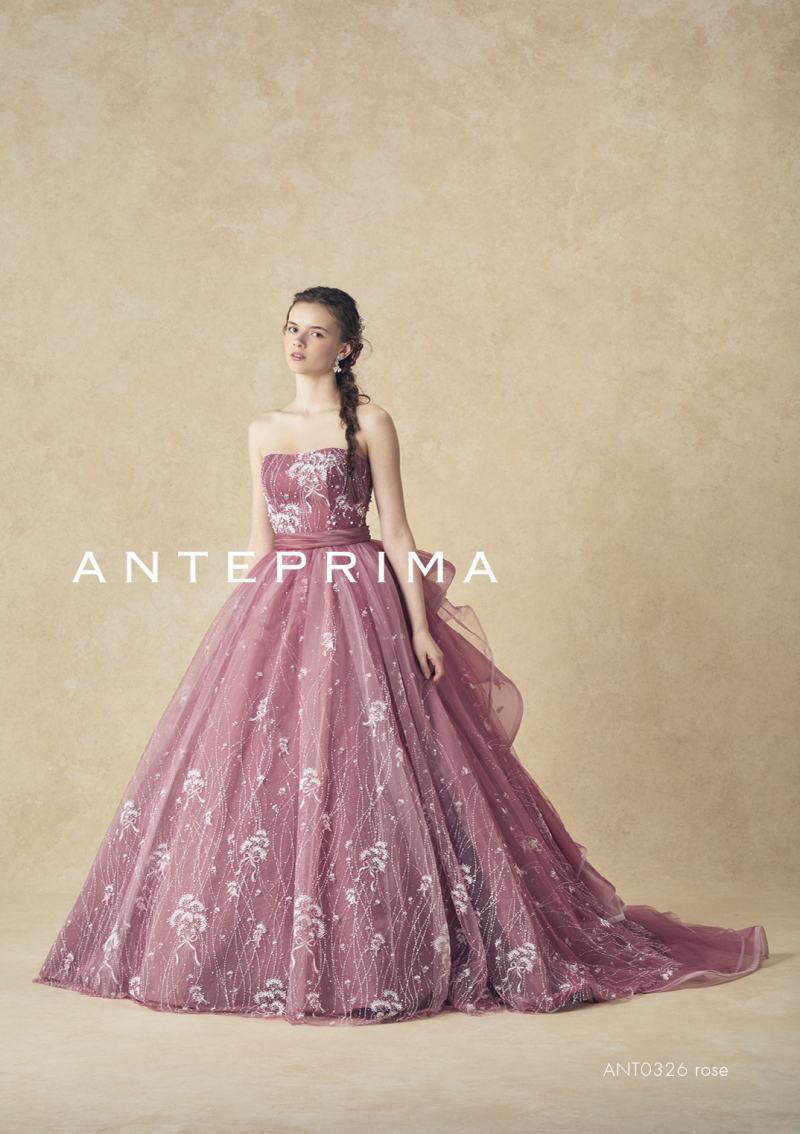 ANTEPRIMA