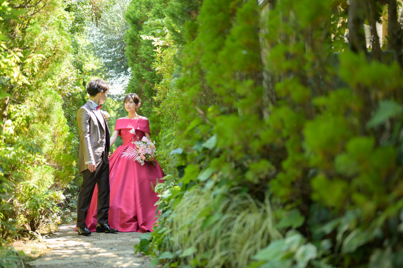 緑豊かな小道ショット