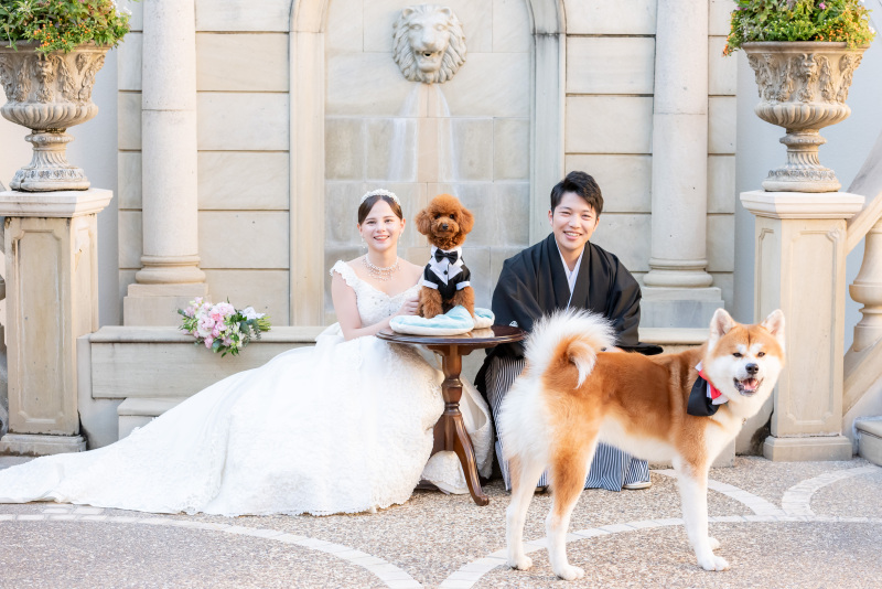 大好きなワンちゃんたちと一緒に撮れて幸せ♪