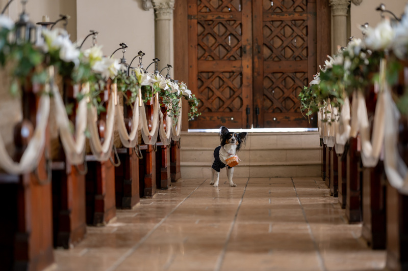 よく頑張りました！