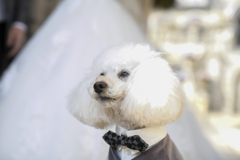 不安なことはなんでもご相談ください。