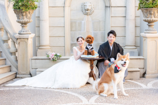 ペットとの撮影